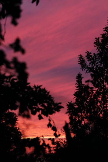 XxPrOzMeNxX en Hamelin: Paisaje, #arboles #atardecer #bäume #black #cielo #clouds #color #farbe #fotografia #fotografie #himmel #natur #naturaleza #nature...