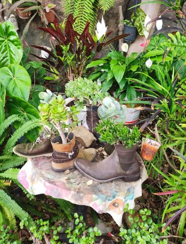 Abigail en Hamelin: Flora  (Santa Lucía de Tirajana), #jardineria #planta #botas #verdes #arboles #flores 