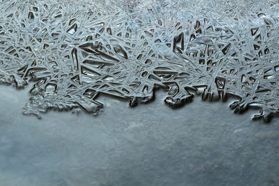 Ignicapillus en Hamelin: Paisaje  (Revolt de la Farga), Hielo en su límite

A finales de enero del año 2023 no solo visité la Farga de Bebié para peinar un...