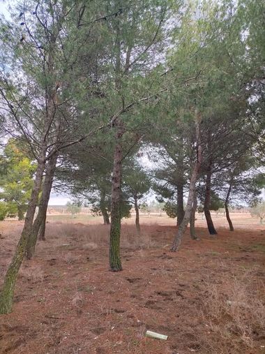 Ifree120874 en Hamelin: Paisaje, #natura