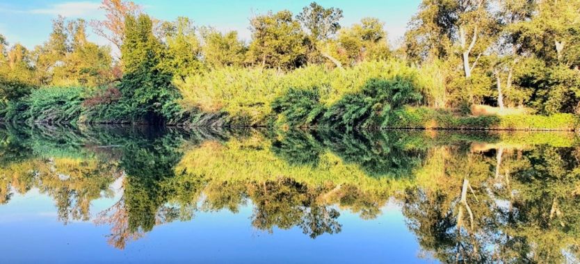 Esar en Hamelin: Paisaje, #paisaje #verano #rio #naturaleza #verde #relax #nature #landscape #beautiful 