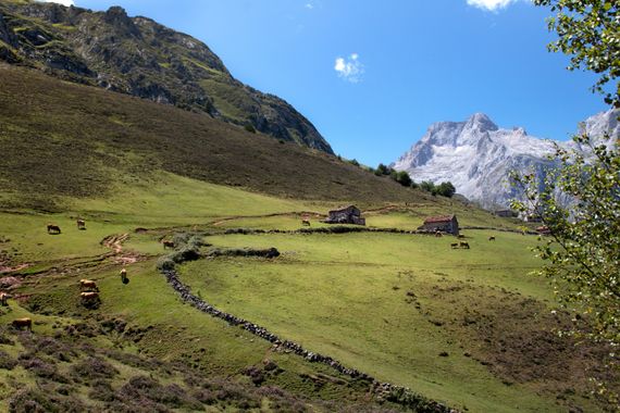Silvanabarbaph  en Hamelin: Paisaje  (Cabrales), Ruta Pandebano- Naranjo de Bulnes 