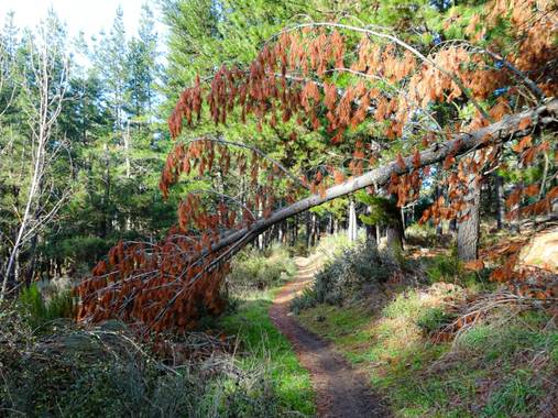 Mivilor68 en Hamelin: Paisaje  (Ponferrada), #paisaje