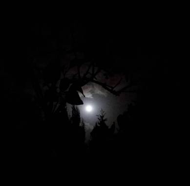 VickyOnTheRocks en Hamelin: Paisaje  (Liria), #luna #moon #inthenight #caelanoche #mijardin #sweethome