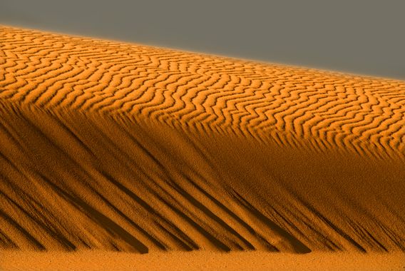 Ignicapillus en Hamelin: Paisaje  (La Oliva), La duna

Os muestro una de esas estampas casi abstractas - toda ella texturas y distribución de masas - que t...