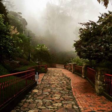 rafaelobregondorantes en Hamelin: Paisaje, Camino de neblina. 