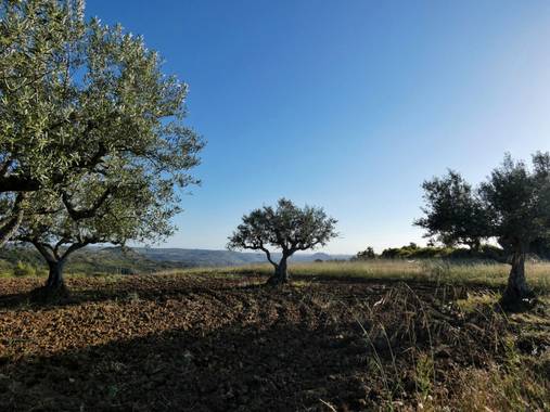 mariale en Hamelin: Paisaje, 📸 #marialemdza
Provincia de Zamora, primavera 2021.
#Naturaleza #paisaje #paisajes #landscape #BellezaNatural  #Naturaleza #...