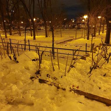Safari.faby en Hamelin: Paisaje  (Algete), #invierno #madrid #nieve #parque 