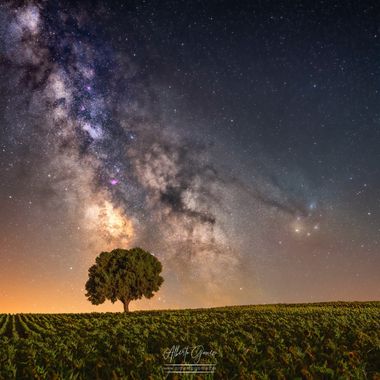 Alberto Gómez  en Hamelin: Paisaje, #arbol #nocturna #vialactea #noche 