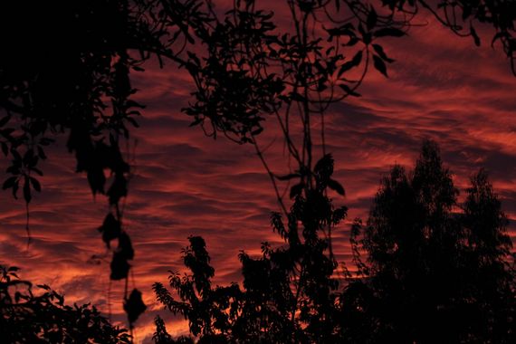 XxPrOzMeNxX en Hamelin: Paisaje, #arboles #atardecer #bäume #black #cielo #color #colour #farbe #fotografia #fotografie #himmel #negro #phothography #redd...