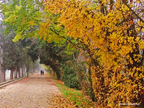 V. Andrés Pérez  en Hamelin: Paisaje  (Aranjuez), Jardín del Príncipe, Aranjuez (Madrid).

#ParquesyJardines
#otoñoenmadrid 
#paisajes
#otoño
#madrid
#Parq...