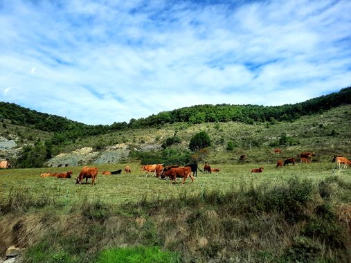 Naomi en Hamelin: Paisaje  (Tavertet), #paisajenatural