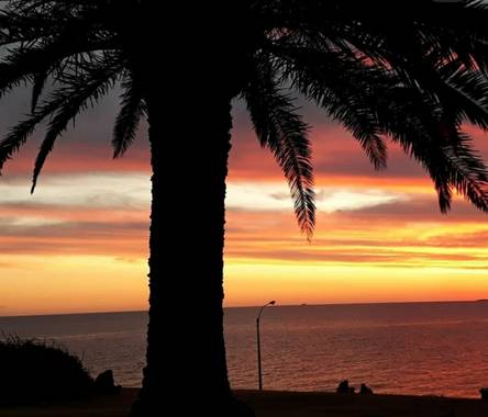 K.loresosa en Hamelin: Paisaje, Amo estos atardeceres 