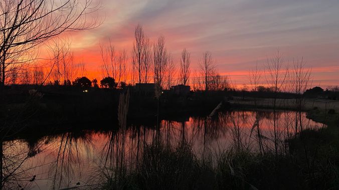 Gabiseva en Hamelin: Paisaje  (Pilar), #aguadulce #rural #atardecer #landscapephotography #laguna 