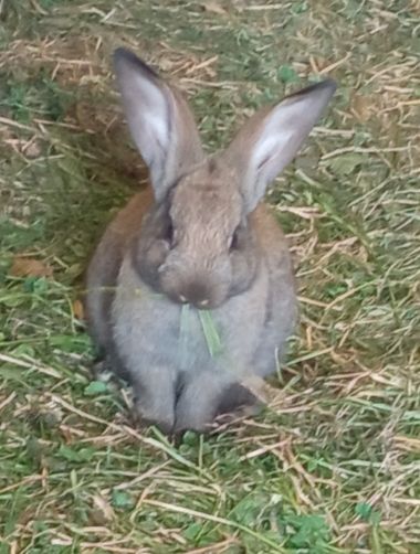 Mariajesussuarez82 en Hamelin: Fauna, Naturaleza#pura#belleza