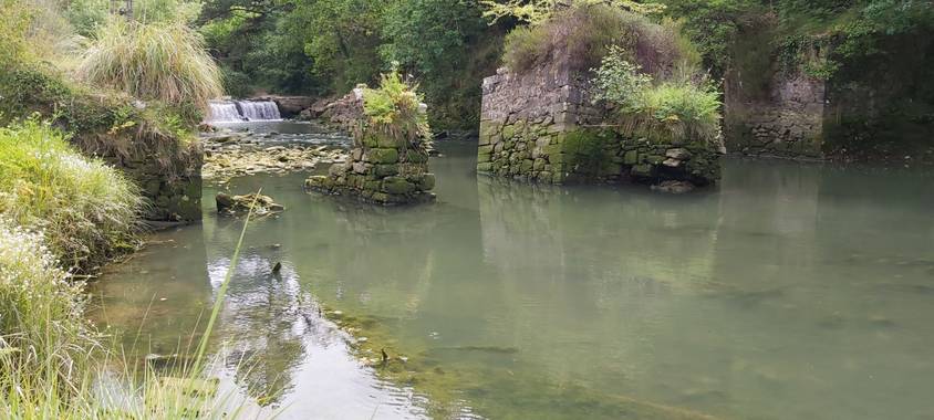 Itzal79 en Hamelin: Paisaje  (Gatica), Paseo por la ria del castillo de Butron