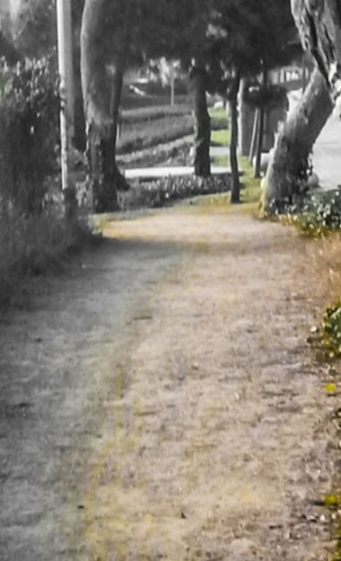 Albert en Hamelin: Paisaje, #caminos 