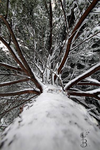 Conbyconv en Hamelin: Paisaje  (Fuenlabrada), #paisaje20  #invierno20