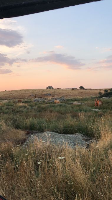 Info en Hamelin: Paisaje, Atardecer en pantano nuevo de Casar de Cáceres 