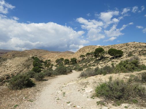 Solerantonio2 en Hamelin: Paisaje  (Almería), Coinsidencias visuales