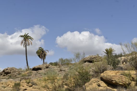 Solerantonio2 en Hamelin: Paisaje  (Carboneras), Coinsidencias visuales