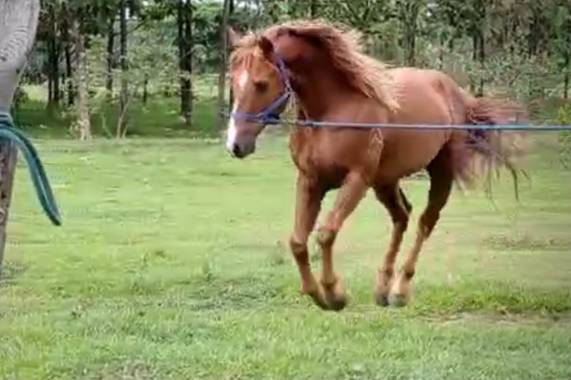 marigoz480 en Hamelin: Fauna  (Tame), #labellezadelacreacion