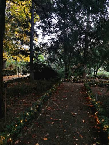 Trasgusmc7 en Hamelin: Paisaje  (Colmenar Viejo), #parquesyjardines
Botánico de Madrid 
@trasgusmc7
 Mari Carmen 
