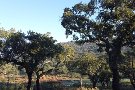 Info en Hamelin: Paisaje, Paisajes de Cáceres 