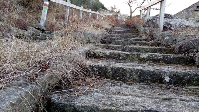 David en Hamelin: Paisaje  (Vigo), #vigo
