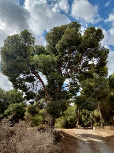 Solerantonio2 en Hamelin: Paisaje  (Benahadux), Coinsidencias visuales