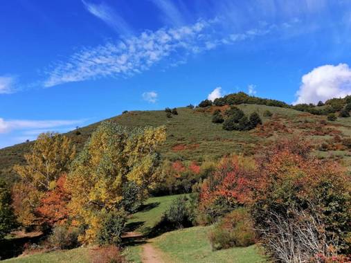 mariale en Hamelin: Paisaje, 📸 @marialendza
#otoño20 #paisajes
#marialemdza #Naturaleza #Montaña #BellezaNatural #otoño2020 #ProvinciaDeLeón #octubre2020...