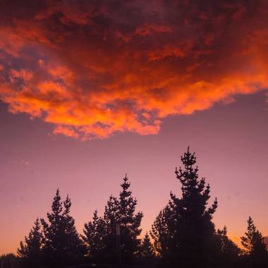 poncelucia61 en Hamelin: Paisaje, 🌲✨


#atardecer #sunset 