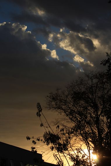 XxPrOzMeNxX en Hamelin: Paisaje, #arbol #atardecer #azul #baum #blau #blue #bluesky #cielo #clouds #darkness #dunkelheit #fotografia #fotografie #himmel #...