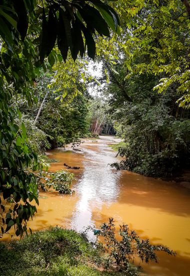 Alejo en Hamelin: Paisaje  (Puerto Triunfo), #landscape