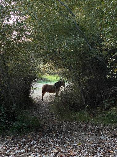 Loli🐾 en Hamelin: Paisaje  (Loja), #parquesyjardines 