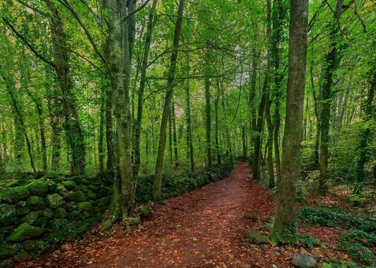 Mjtomasperez en Hamelin: Paisaje  (Olot), #penyafotograficabadalona