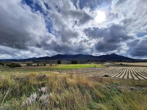 Leonor Sol en Hamelin: Paisaje  (Murcia), #campodesanjuan #noroestedemurcia #regiondemurcia 