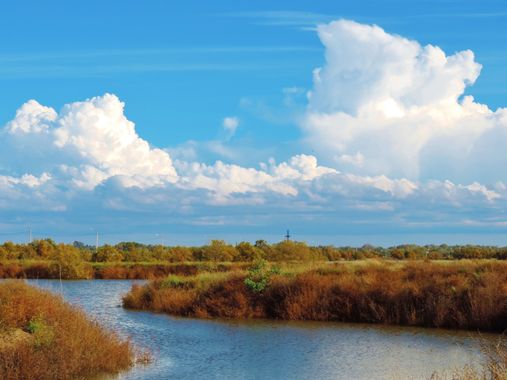 Fabricio Mortissandi en Hamelin: Paisaje  (Santa Rosa), #rurales #agua #landscape