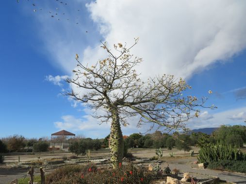 Solerantonio2 en Hamelin: Paisaje  (Almería), Coinsidencias visuales