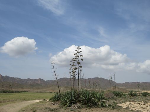 Solerantonio2 en Hamelin: Paisaje  (Níjar), Coinsidencias visuales