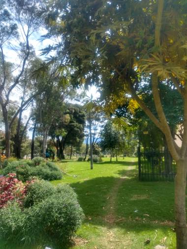 Zaynab en Hamelin: Paisaje  (Bogotá, D.C.), Parque