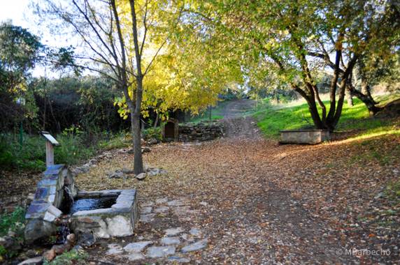 Manubarbecho en Hamelin: Paisaje  (Córdoba), #ParquesyJardines      Parque Forestal Los Villares (Córdoba) 