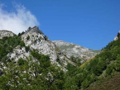 mariale en Hamelin: Paisaje  (Caso), 📸 #marialemdza
💚 🌿🌸🌿💚
#CumpleHamelin
#Naturaleza #BellezaNatural #paisaje 
#Asturias  #Montaña #forest #bosque #...