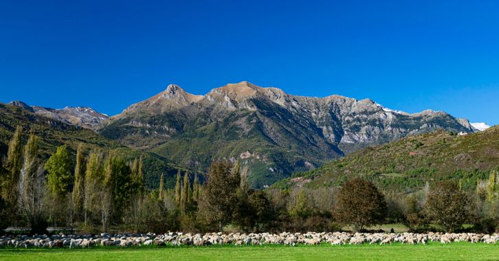 Alberto Sierco en Hamelin: Paisaje  (Castejón de Sos), Aire limpio, llena tus pulmones. Se ralentiza el tiempo cuando contemplo los montes. #montaña #vivep...