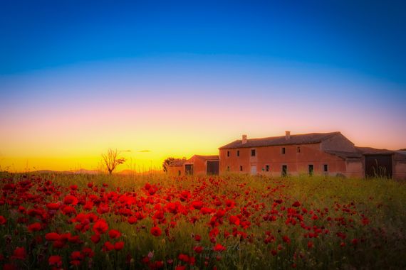 FranJHC en Hamelin: Paisaje  (Píñar), #landscape #landscapephotography #landscapes #sunset #flower #flores #atardecer 