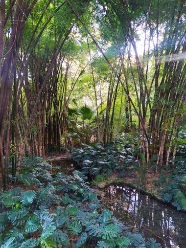 Tbautista7.tbm en Hamelin: Paisaje  (Málaga), #parquesyjardines 