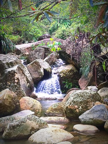 littleworld28 en Hamelin: Paisaje  (Cisneros), Fluir naturalmente #colombia 