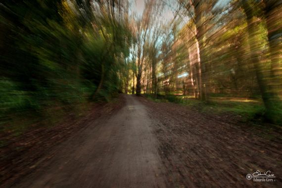 miradasbotanicas en Hamelin: Paisaje, #bosque