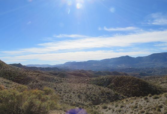 Solerantonio2 en Hamelin: Paisaje  (Santa Cruz de Marchena), Coinsidencias visuales
