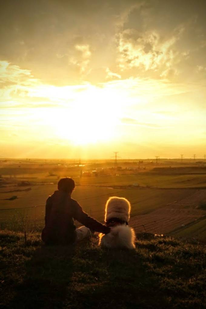 A Chow Chow dog named Choco and me at the sunset